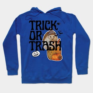 Raccoon Halloween Hoodie